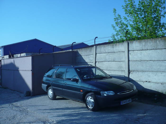 MIHAI SI FURIA VERDE