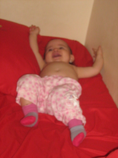 22 noiembrie 2009 010