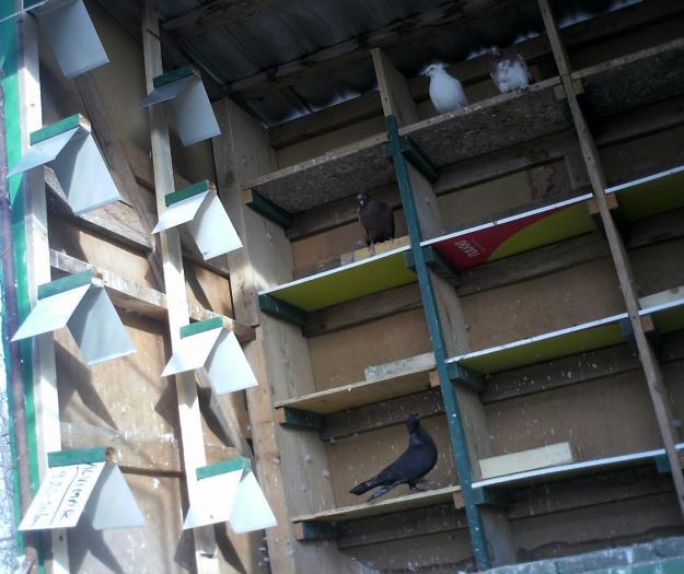 IMG_0020; odihnitori 1
