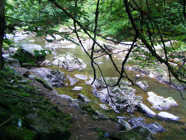 DSCF5113
