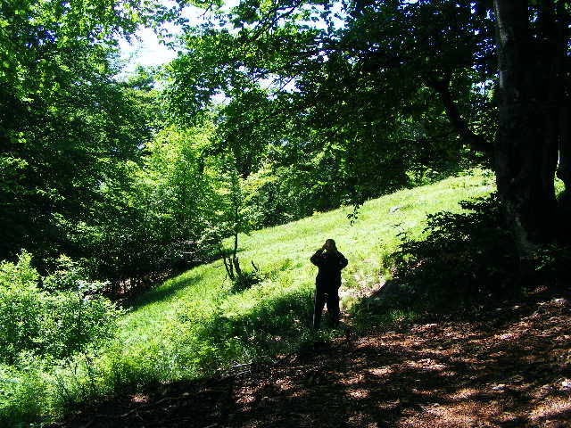 DSCF1992 - varful Ignis Maramures