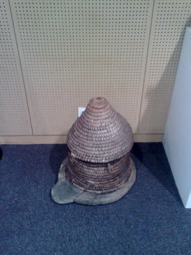 Imagine1082 - ApiMondia