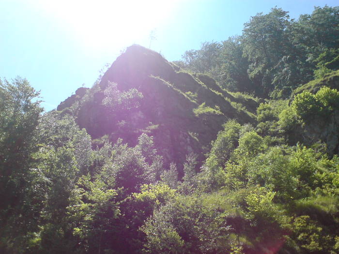 DSC01645