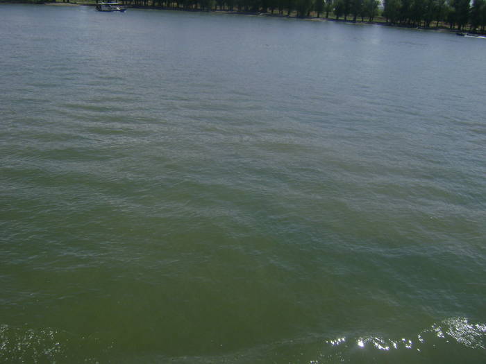 excursie delta dunarii 5062009 054 - EXCURSIE  in DELTA