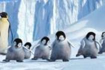 happy feet (47) - happy feet