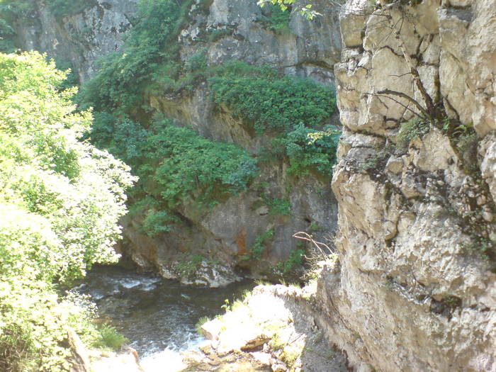 DSC01773