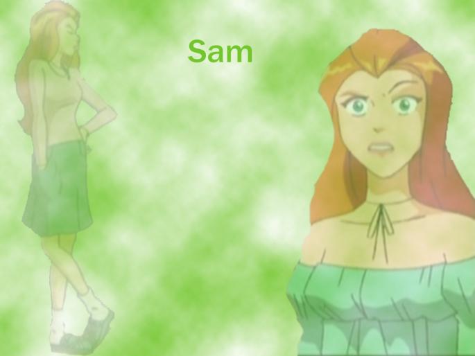 wallSam1[1] - spioanele