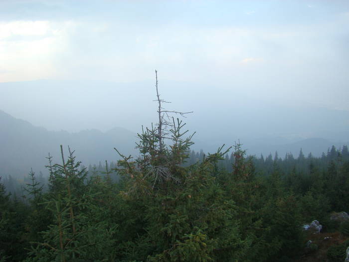 DSC00377