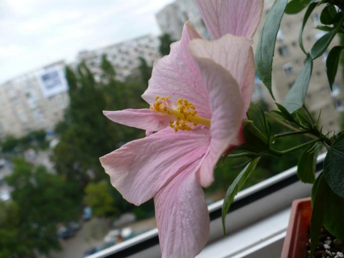 P1030085