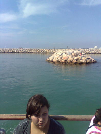 Imagine1267 - ApiMondia