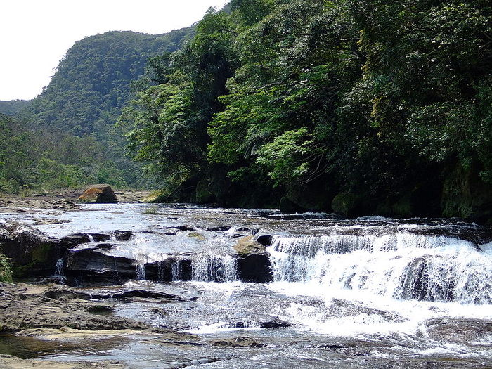 800px-Kampire_iriomote_2007-04-05 - Japonia