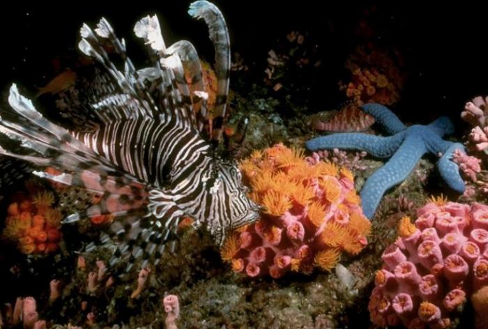 GDCOVOMEJPJMHBIOTXZ[1]