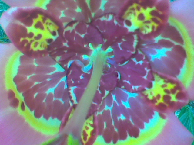 Imag040