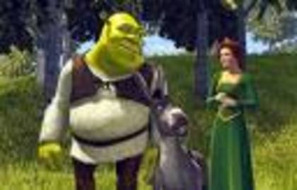 ,hgt - poze shrek