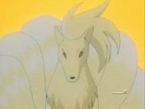 pokeman (6) - pokemon