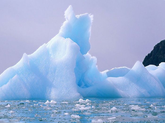 Ice - poze case