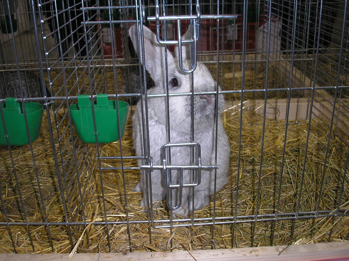 P1010124