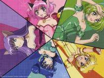 GDFPKTPQNMEQLMYYXXM - echipa mew mew
