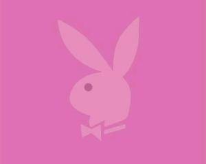 Pink Glitter Playboy Bunny Graphics; Pink Glitter Playboy Bunny Graphics
