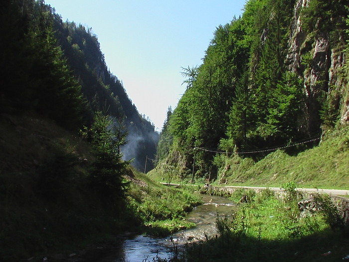 Drumul spre Pestera Dambovicioara