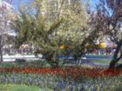 images8