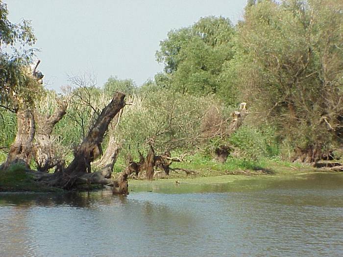 img1 - Delta Dunarii