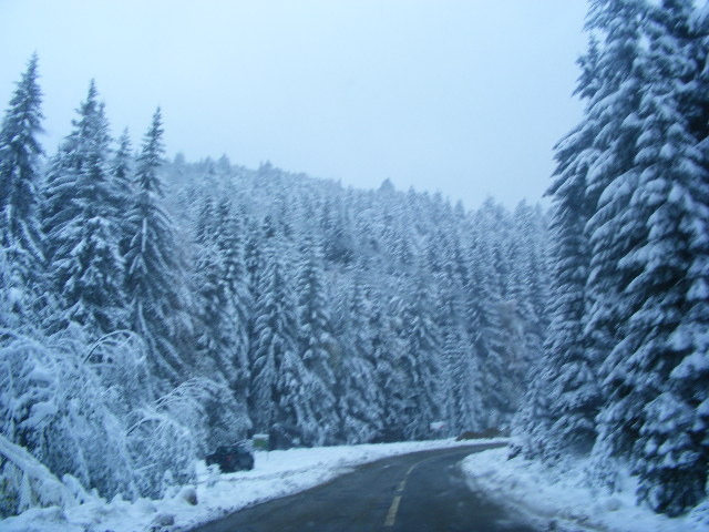 DSCF7294 - ninge in Maramu