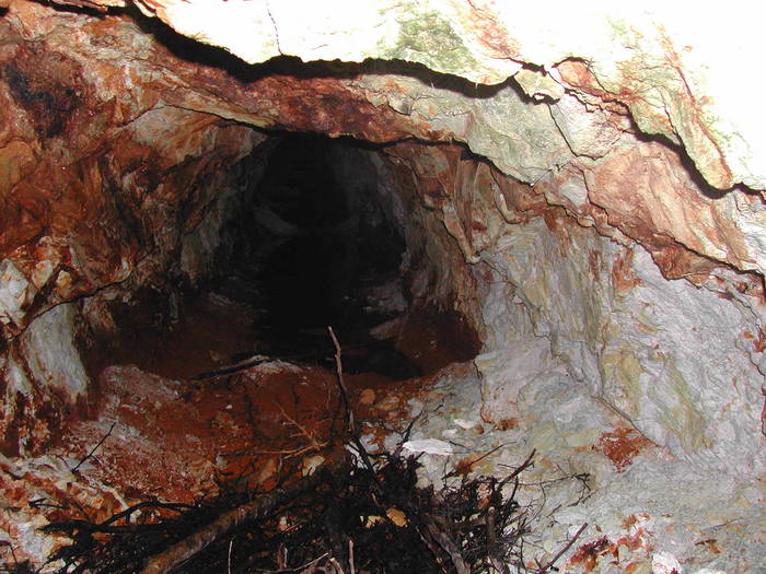 Picture 203 - Firiza