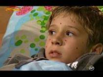 FEUOXBIVSWTIIVVYDXU - ingerasii