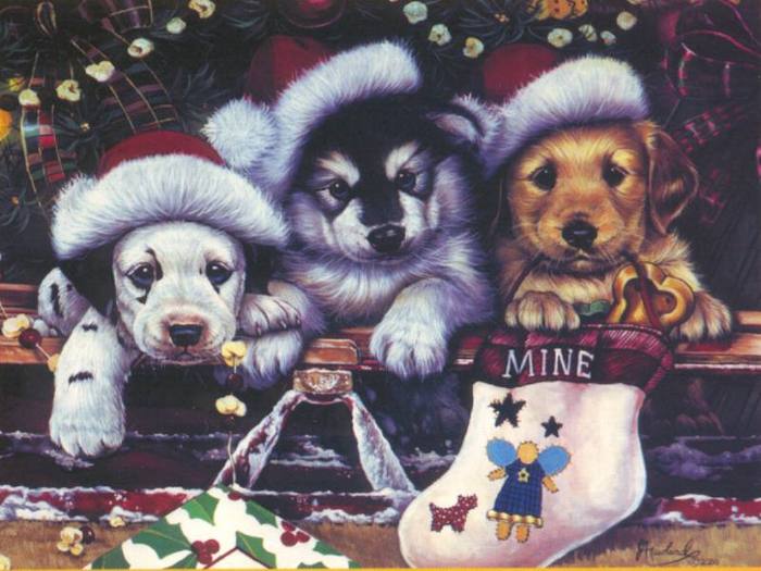 Christmas Wallpapers (171)