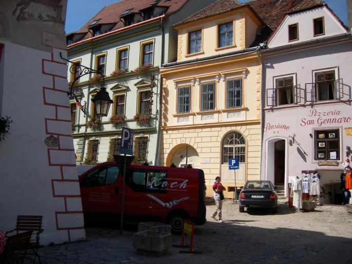 Sighisoara 030 - Natura