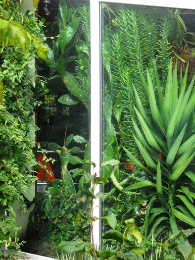 Picture 129 - flori dragute