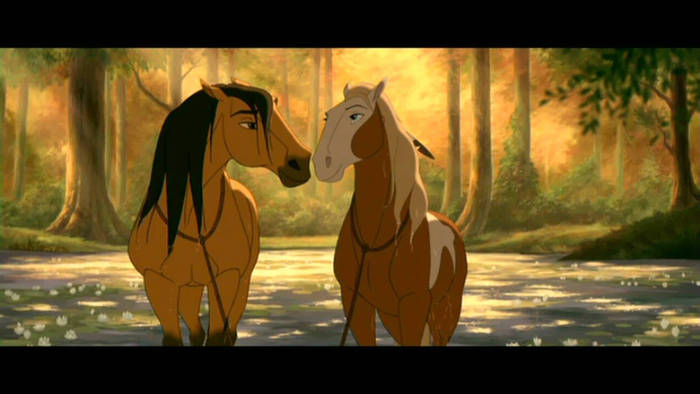 -mam indragostit de tine-Si eu; Rain si Spirit i love you
