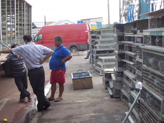 auto3 - ASC grivita concurs 2008