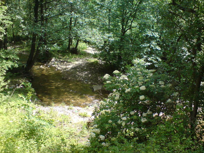 DSC01756