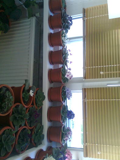 COLT STANGA PE BALCON