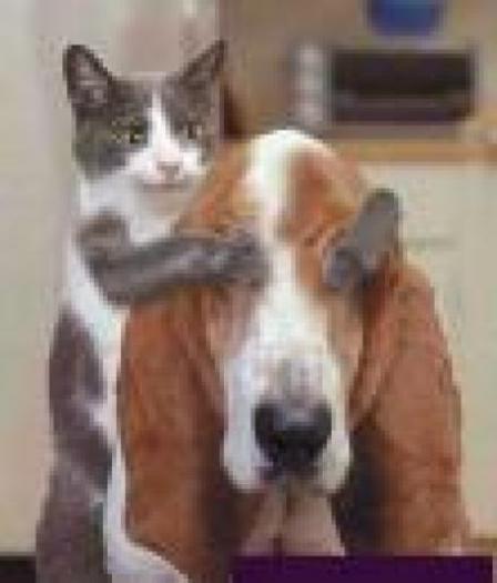 QFPWRQHMDXRXQIQYPXG[1] - poze animale