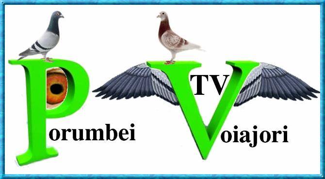 PORUMBEI VOIAJORI TV; cel mai tare tv online de porumbei, non stop 
www.porumbeivoiajori.ro/tv
