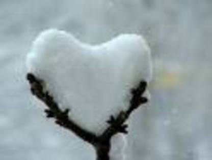 A68A7ATCAXQES8QCAFY74XLCAEUO167CAH0PBI3CACTAK08CAO3G8UTCASOXXEKCAOMYFNDCAH8RNCPCA1XFNGFCAIDUNZMCACZJ - HEARTS