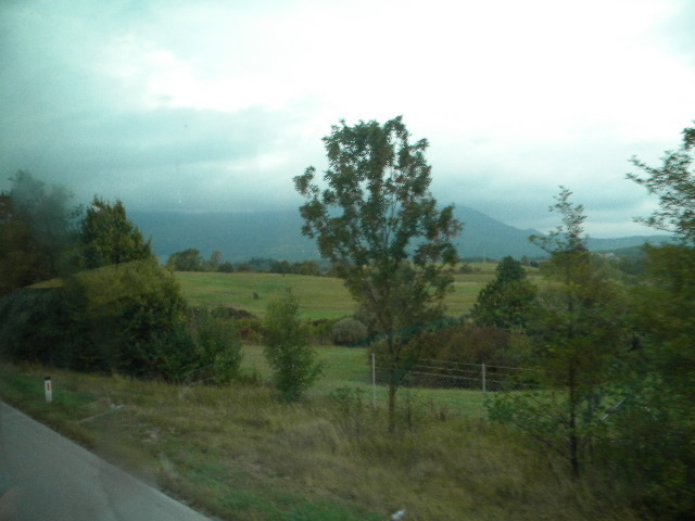 DSCN0486