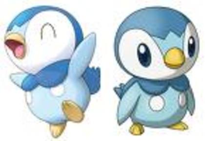 CAI70S02CAKUSLOECA9D05Y8CAI4HB46CAYZB5QZCAW7JLY8CAU5S211CA8GYN9FCANDT6UZCA5EDQJFCAJ7JPK7CAA1T6G0CAL6 - piplup