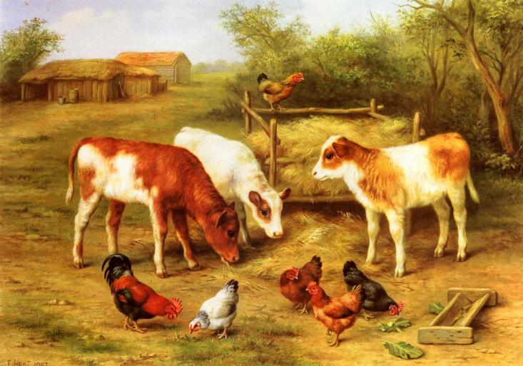 Hunt_Edgar_Calves_And_Chickens_Feeding_In_A_Farmyard - ANIMALE