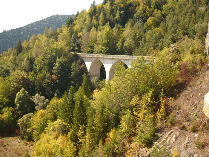 P1010251; Viaduct intrare baraj
