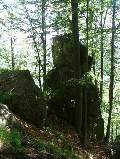 P1000558 - varful Ignis Maramures