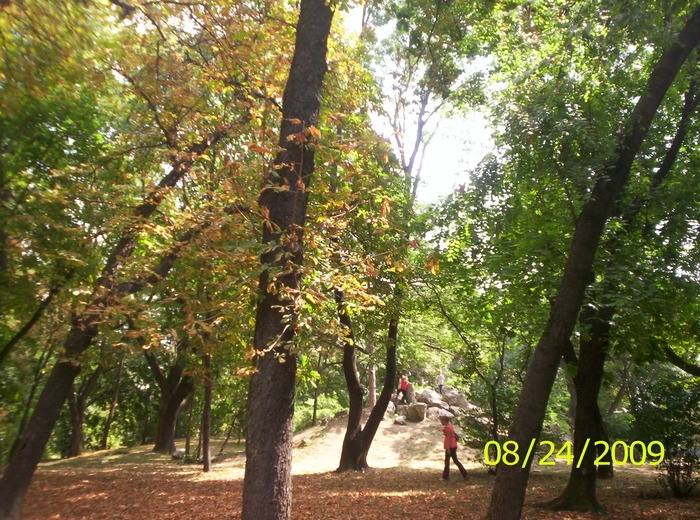 parcul Botanic - Timisoara-orasul care m-a adoptat