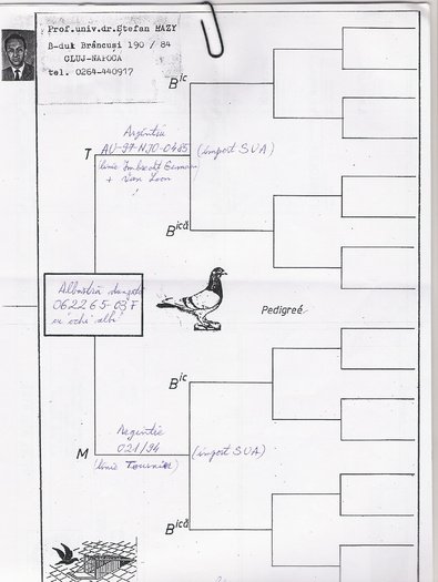 Prof.Univ.DR.Stefan Hazi - Pedigree Matca