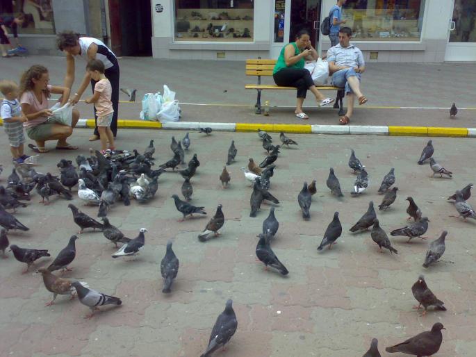 23072008651 - 18a Constanta 1