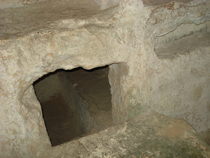 DSC04474
