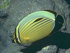 079 - poze muuuuuuuuuuuuuulte