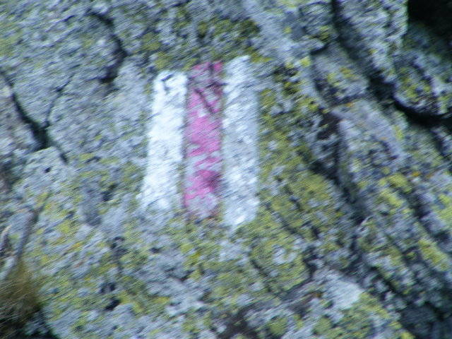 DSCF4418 - 2 august 2009 Traseu Suior Secatura Creasta Cocosului Gutaiul Doamnei  Vf Gutai